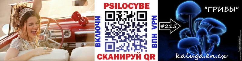 где купить наркоту  Хилок  Галлюциногенные грибы мицелий 