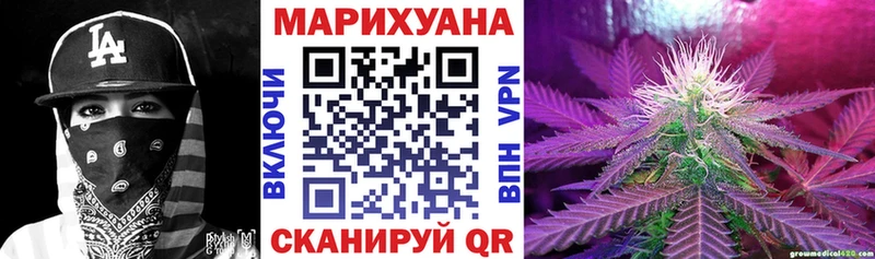 Бошки Шишки планчик  Хилок 